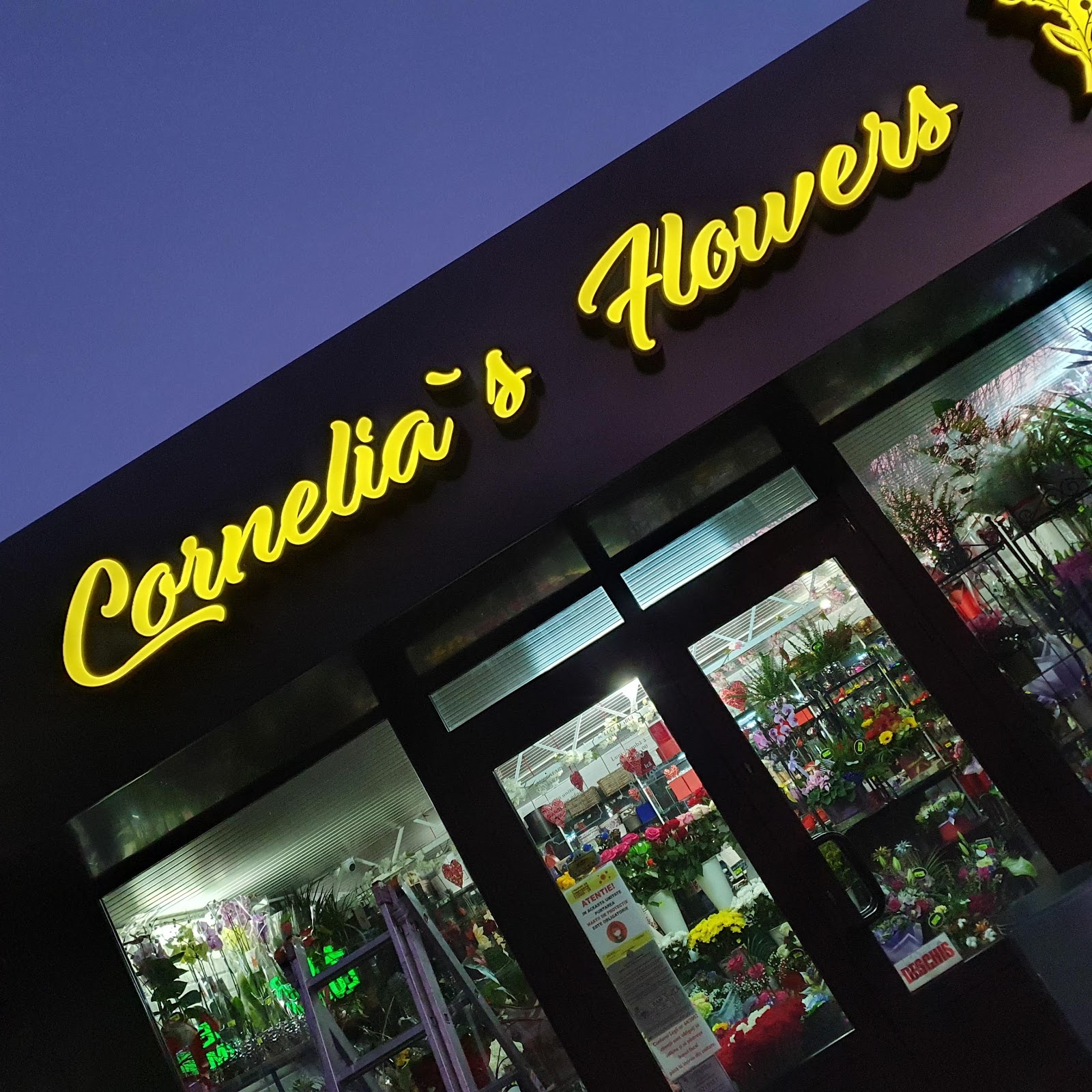 Cornelia Flowers