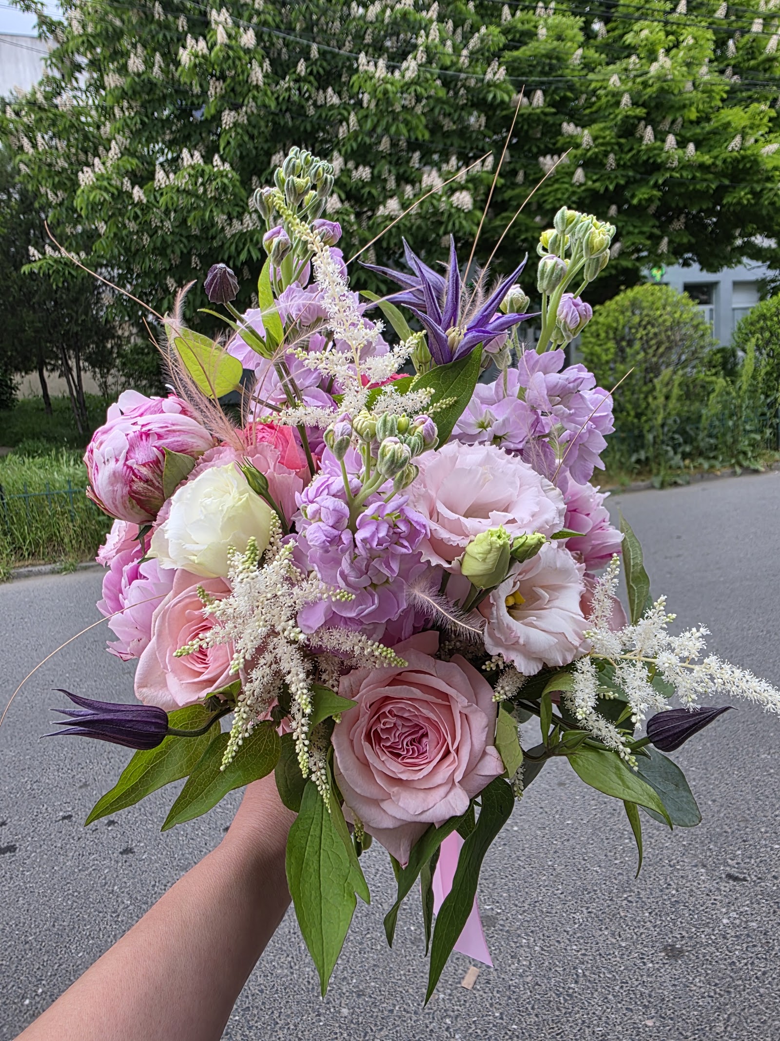 Cornelia Flowers
