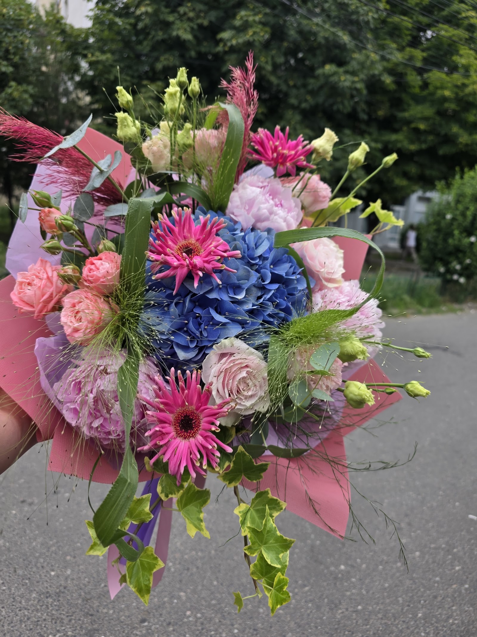 Cornelia Flowers