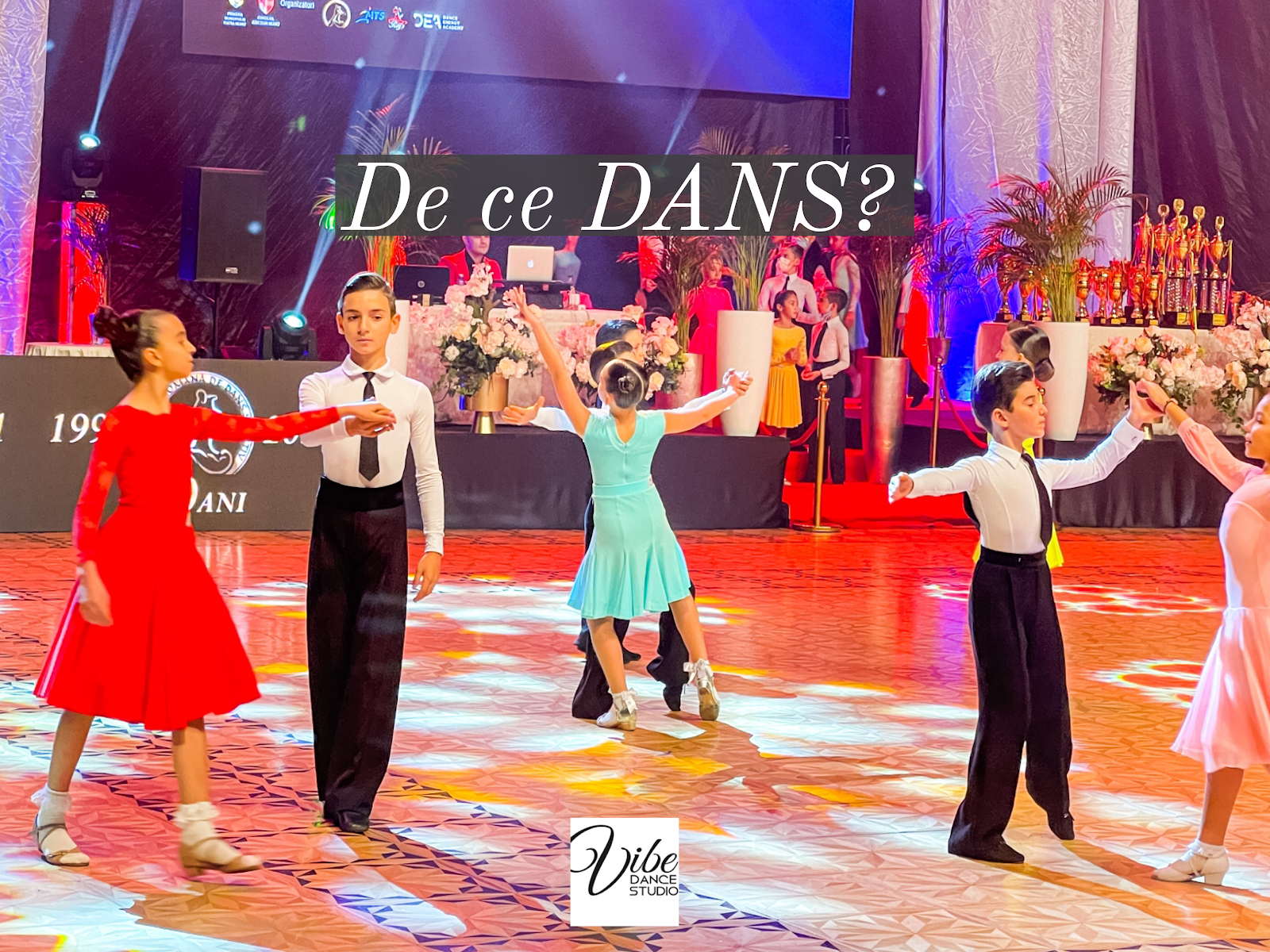 Vibe Dance Studio Buzău