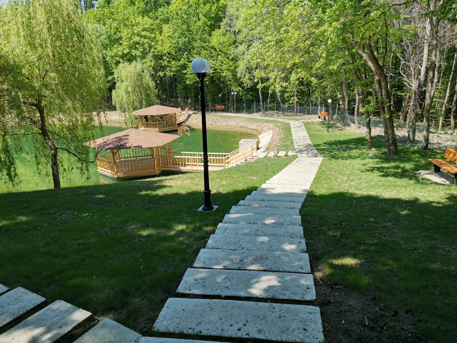 Forest Events